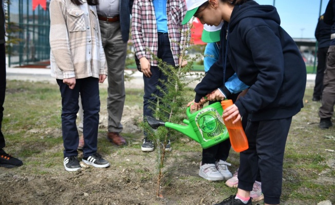 Beypazarı’nda 21 Mart Dünya Ormancılık Günü ve Orman Haftası Kutlandı